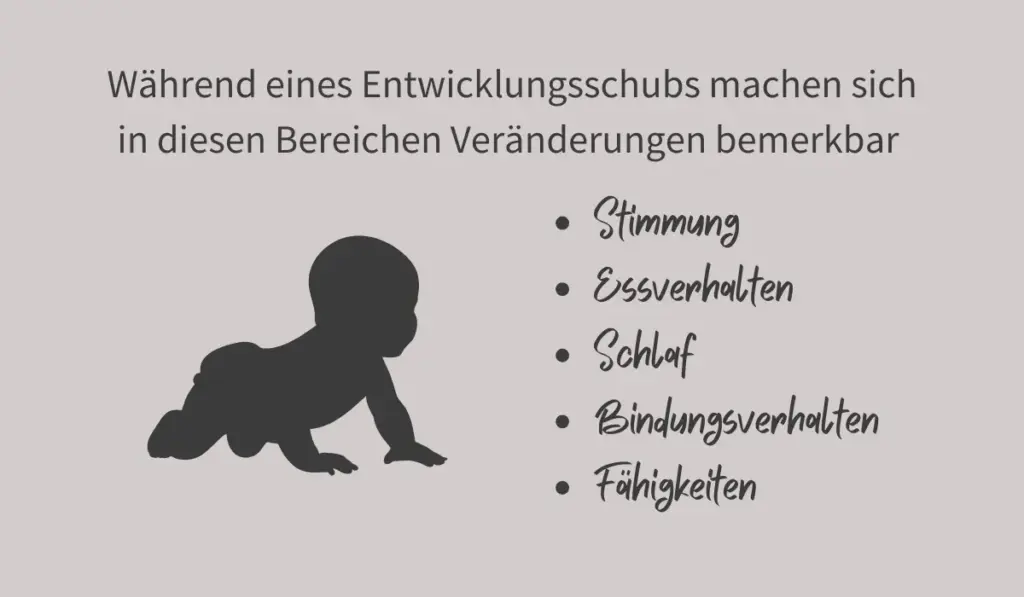 Schübe bei Babys: Übersicht der Veränderungen
